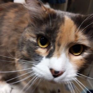 Meet your Posher, Holly